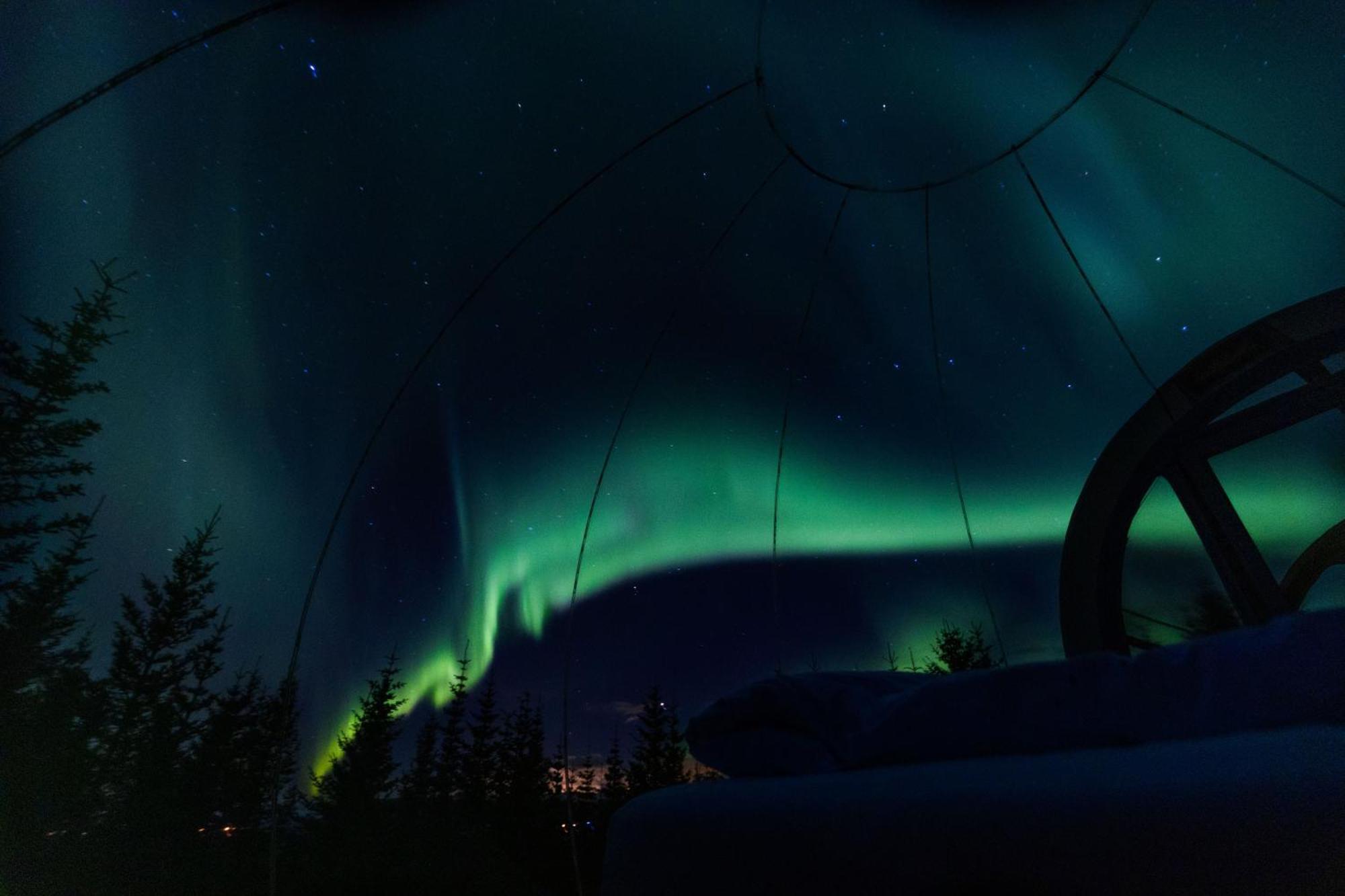 Buubble Hotel - Hrosshagi Selfoss Exteriör bild